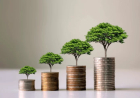 Smart Money, Strong Business: The Powers Behind Every Successful Company