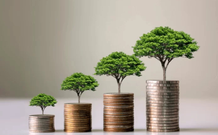 Smart Money, Strong Business: The Powers Behind Every Successful Company